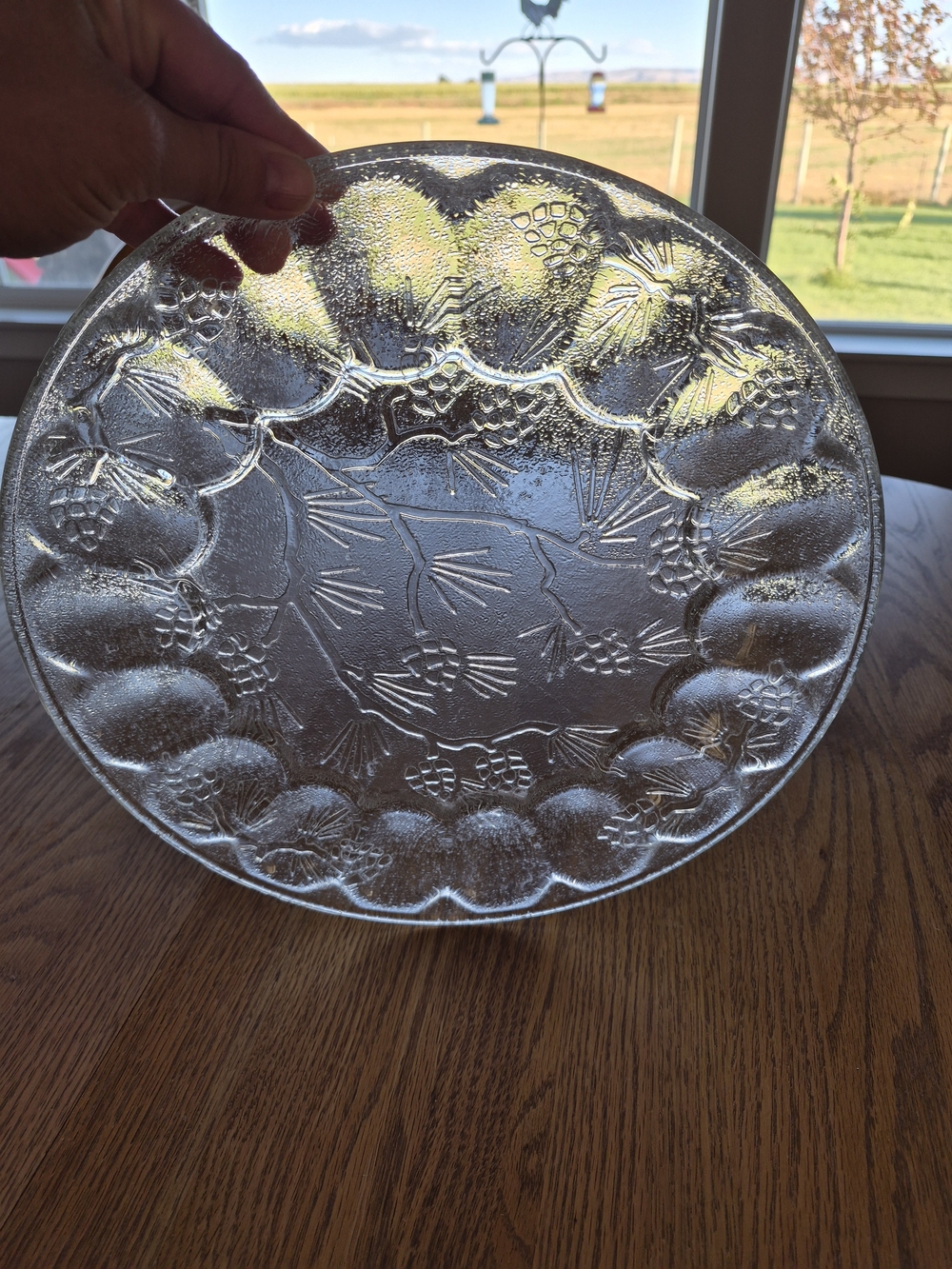 Egg Plate - Vintage Tiara Ponderosa Pine deviled egg platter